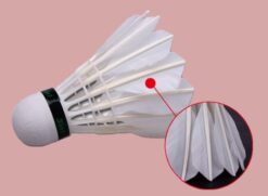 Alternative view of DHS TR312 Badminton Shuttlecock Tube of 12 Speed 76